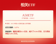 更多净利润为-8876.33万元